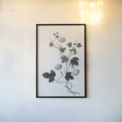 Botanical VI by Deborah Revell. shown as a paper print in a black flame. Available as a archival giclee rolled canvas, fine art paper, or poster print. SKU 96572h.