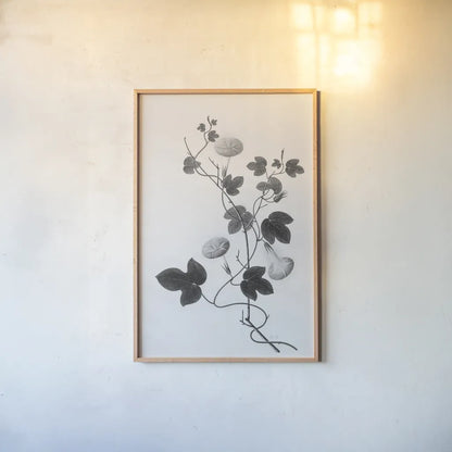 Botanical VI by Deborah Revell. shown as a paper print in a natural frame. Available as a archival giclee rolled canvas, fine art paper, or poster print. SKU 96572h.