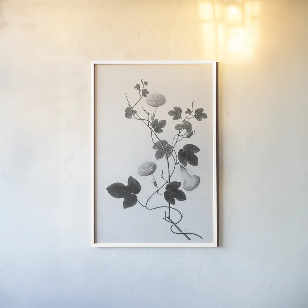 Botanical VI by Deborah Revell. shown as a paper print in a white frame. Available as a archival giclee rolled canvas, fine art paper, or poster print. SKU 96572h.