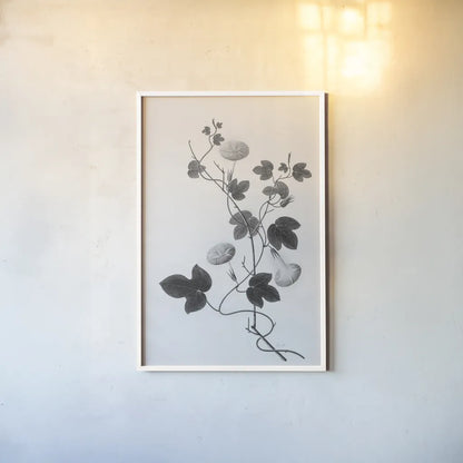 Botanical VI by Deborah Revell. shown as a paper print in a white frame. Available as a archival giclee rolled canvas, fine art paper, or poster print. SKU 96572h.