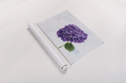 Bright Purple Hydrangea by Deborah Revell. shown as a rolled paper print. Available as archival giclee rolled canvas, fine art paper, or poster print. SKU 93155i.