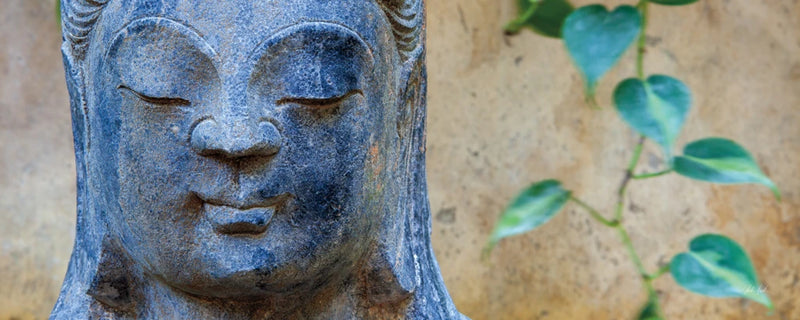 Buddha Close Up by Deborah Revell