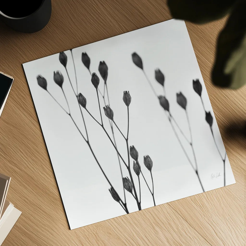 Buds I by Deborah Revell. Shown as a detailed flat fine art print, highlighting archival giclee quality. Available as an archival giclee rolled canvas, fine art paper, or poster print. SKU 92266a.