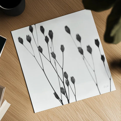 Buds I by Deborah Revell. Shown as a detailed flat fine art print, highlighting archival giclee quality. Available as an archival giclee rolled canvas, fine art paper, or poster print. SKU 92266a.