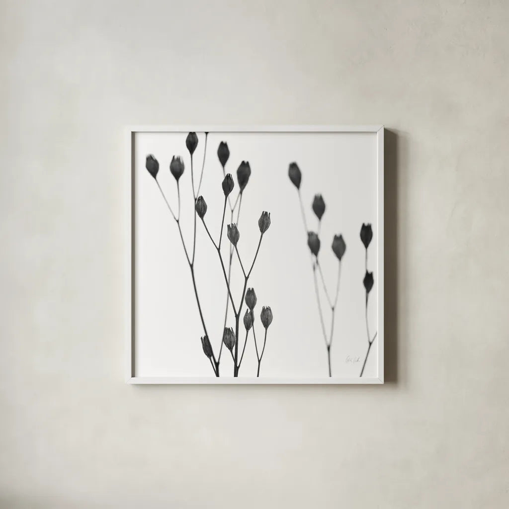 Buds I by Deborah Revell. Shown in a crisp white glass frame for a clean and minimalist style. Available as an archival giclee rolled canvas, fine art paper, or poster print. SKU 92266a.