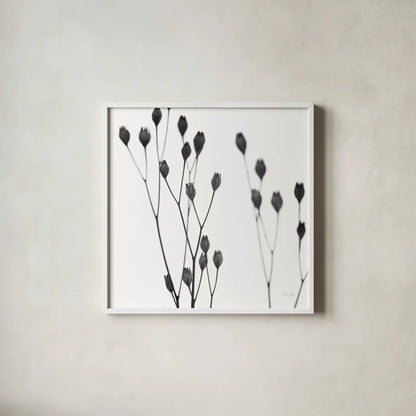 Buds I by Deborah Revell. Shown in a crisp white glass frame for a clean and minimalist style. Available as an archival giclee rolled canvas, fine art paper, or poster print. SKU 92266a.