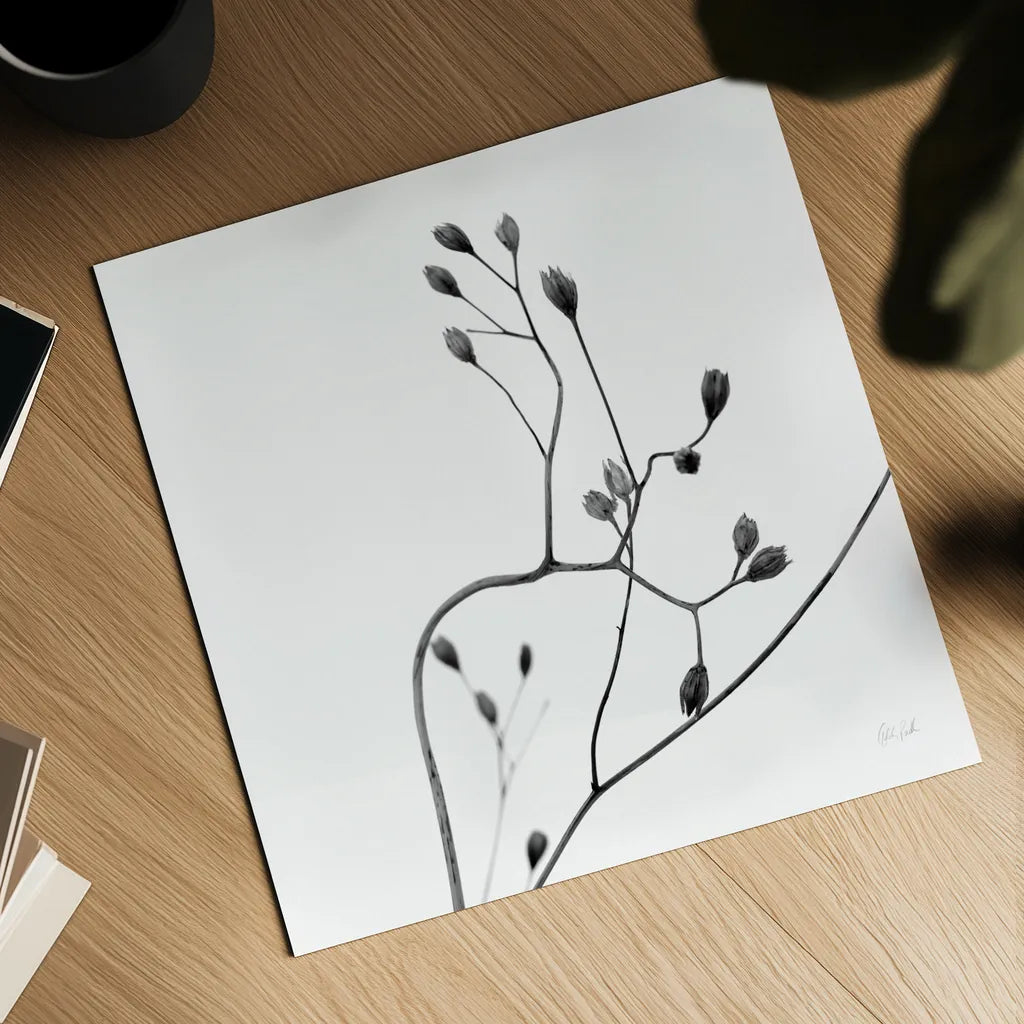 Buds II by Deborah Revell. Shown as a detailed flat fine art print, highlighting archival giclee quality. Available as an archival giclee rolled canvas, fine art paper, or poster print. SKU 92267a.