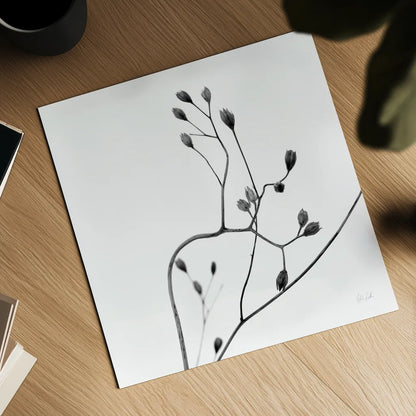 Buds II by Deborah Revell. Shown as a detailed flat fine art print, highlighting archival giclee quality. Available as an archival giclee rolled canvas, fine art paper, or poster print. SKU 92267a.