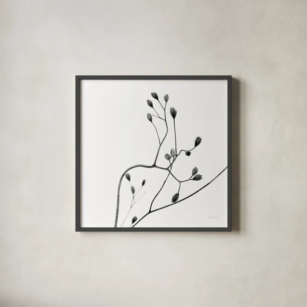 Buds II by Deborah Revell. Shown in a sleek black glass frame for a contemporary gallery look. Available as an archival giclee rolled canvas, fine art paper, or poster print. SKU 92267a.