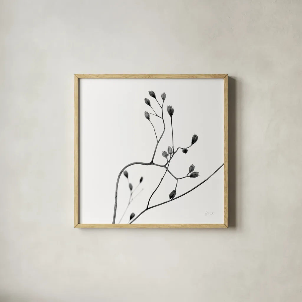 Buds II by Deborah Revell. Shown in a natural wood glass frame for a timeless modern aesthetic. Available as an archival giclee rolled canvas, fine art paper, or poster print. SKU 92267a.