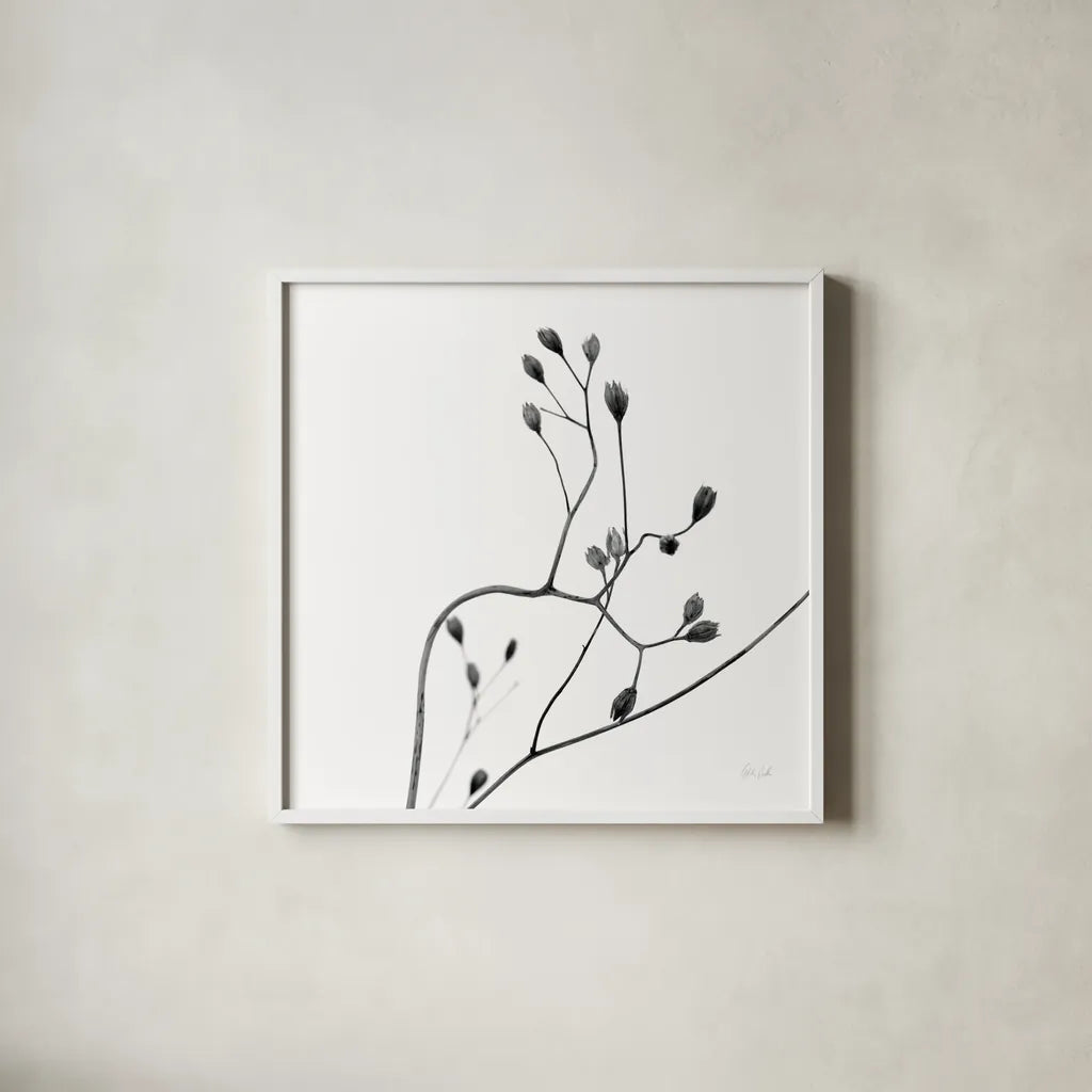 Buds II by Deborah Revell. Shown in a crisp white glass frame for a clean and minimalist style. Available as an archival giclee rolled canvas, fine art paper, or poster print. SKU 92267a.