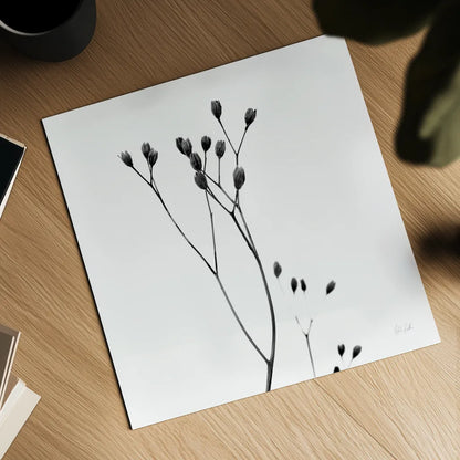 Buds III by Deborah Revell. Shown as a detailed flat fine art print, highlighting archival giclee quality. Available as an archival giclee rolled canvas, fine art paper, or poster print. SKU 92268a.