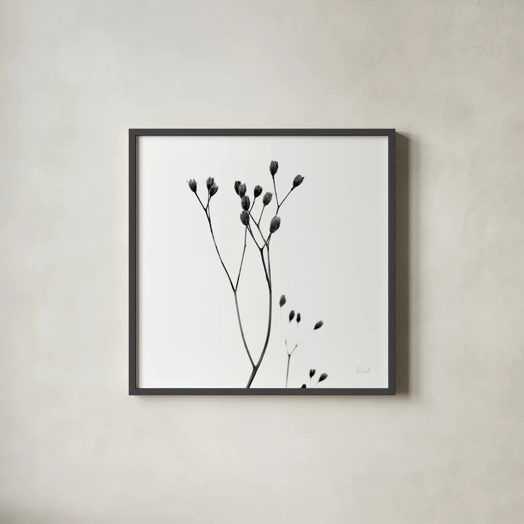Buds III by Deborah Revell. Shown in a sleek black glass frame for a contemporary gallery look. Available as an archival giclee rolled canvas, fine art paper, or poster print. SKU 92268a.