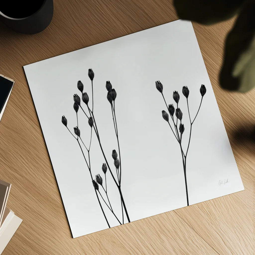 Buds IV by Deborah Revell. Shown as a detailed flat fine art print, highlighting archival giclee quality. Available as an archival giclee rolled canvas, fine art paper, or poster print. SKU 92269a.