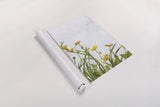 Buttercups by Deborah Revell. shown as a rolled paper print. Available as archival giclee rolled canvas, fine art paper, or poster print. SKU 93426h.