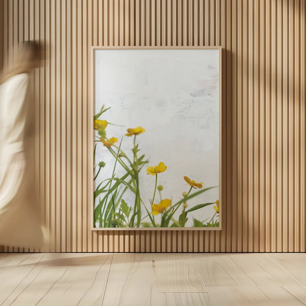 Buttercups by Deborah Revell. shown as over sized large wall art. Available as an archival giclee rolled canvas, fine art paper, or poster print. SKU 93426h.