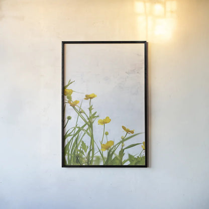 Buttercups by Deborah Revell. shown as a paper print in a black flame. Available as a archival giclee rolled canvas, fine art paper, or poster print. SKU 93426h.