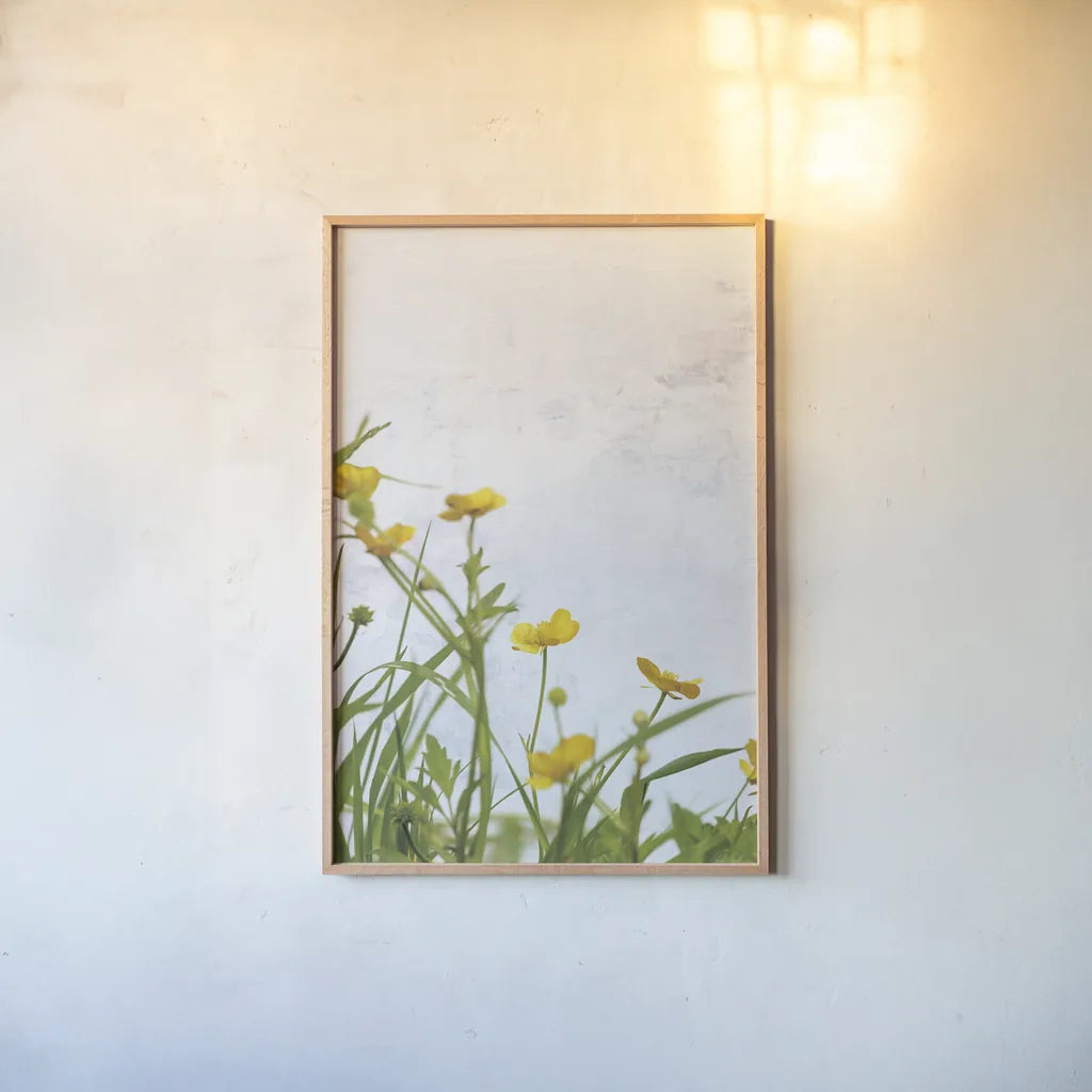 Buttercups by Deborah Revell. shown as a paper print in a natural frame. Available as a archival giclee rolled canvas, fine art paper, or poster print. SKU 93426h.