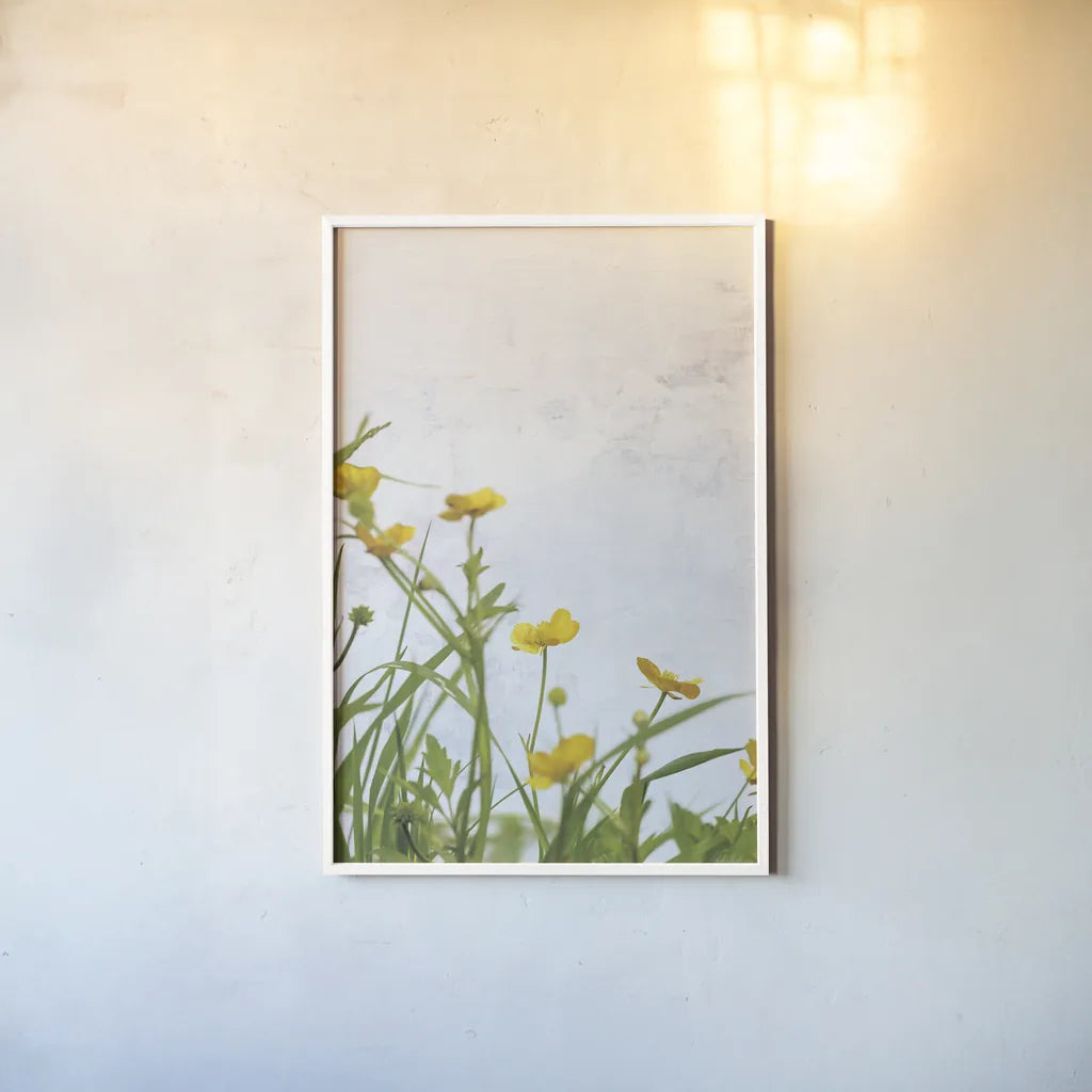 Buttercups by Deborah Revell. shown as a paper print in a white frame. Available as a archival giclee rolled canvas, fine art paper, or poster print. SKU 93426h.