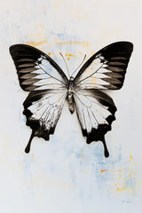 Butterfly I by Deborah Revell. SKU 91143h. Archival Giclee Fine art print for wall decor.
