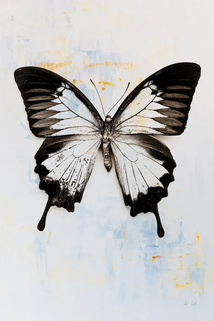 Butterfly I by Deborah Revell. SKU 91143h. Archival Giclee Fine art print for wall decor.