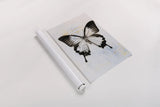 Butterfly I by Deborah Revell. shown as a rolled paper print. Available as archival giclee rolled canvas, fine art paper, or poster print. SKU 91143h.