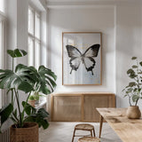 Butterfly I by Deborah Revell. shown as a print in a natural wood frame in a dining room. Available as a archival giclee rolled canvas, fine art paper, or poster print. SKU 91143h.