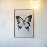 Butterfly I by Deborah Revell. shown as a paper print in a natural frame. Available as a archival giclee rolled canvas, fine art paper, or poster print. SKU 91143h.