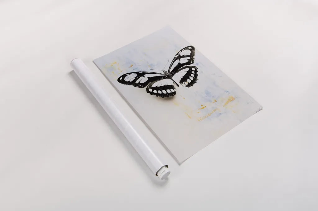 Butterfly II by Deborah Revell. shown as a rolled paper print. Available as archival giclee rolled canvas, fine art paper, or poster print. SKU 91144h.
