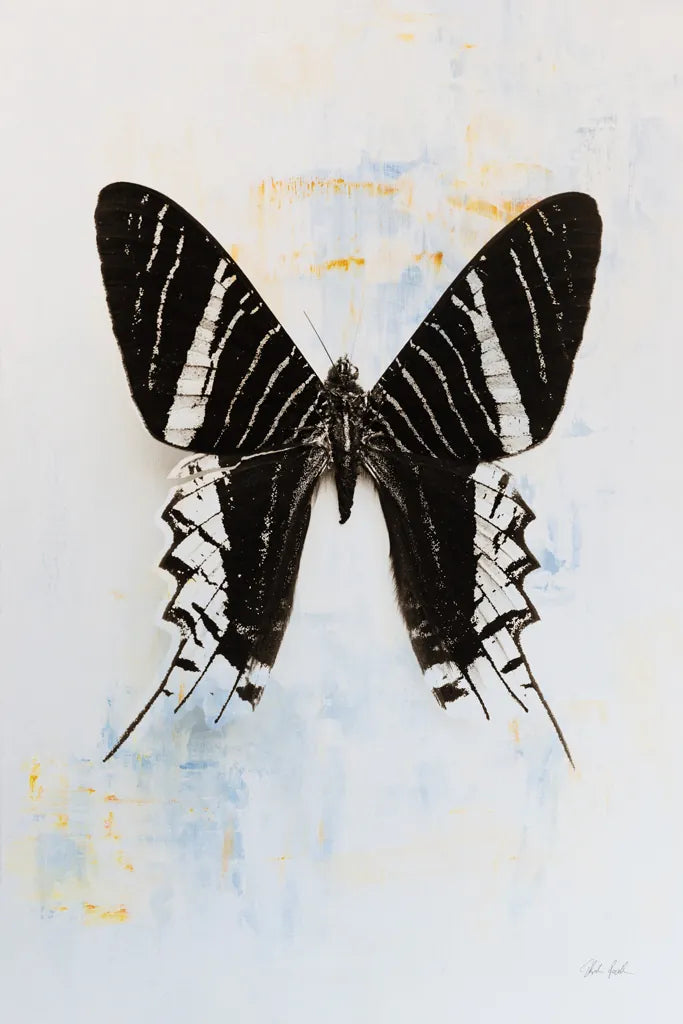 Butterfly III by Deborah Revell. SKU 91145h. Archival Giclee Fine art print for wall decor.