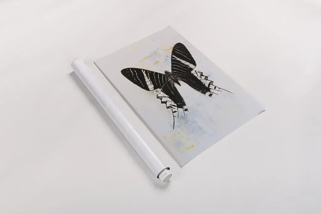 Butterfly III by Deborah Revell. shown as a rolled paper print. Available as archival giclee rolled canvas, fine art paper, or poster print. SKU 91145h.