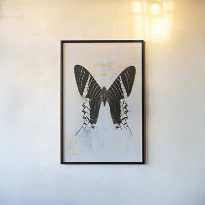 Butterfly III by Deborah Revell. shown as a paper print in a black flame. Available as a archival giclee rolled canvas, fine art paper, or poster print. SKU 91145h.