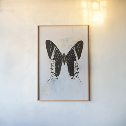 Butterfly III by Deborah Revell. shown as a paper print in a natural frame. Available as a archival giclee rolled canvas, fine art paper, or poster print. SKU 91145h.
