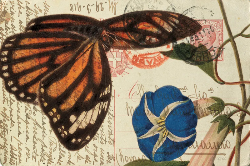 Butterfly Postcard I by Deborah Revell. SKU 91112i. Archival Giclee Fine art print for wall decor.