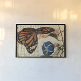 Butterfly Postcard I by Deborah Revell. shown as a paper print in a black flame. Available as a archival giclee rolled canvas, fine art paper, or poster print. SKU 91112i.