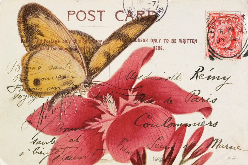 Butterfly Postcard II by Deborah Revell. SKU 91113i. Archival Giclee Fine art print for wall decor.