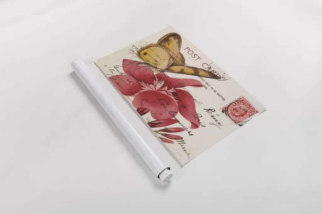 Butterfly Postcard II by Deborah Revell. shown as a rolled paper print. Available as archival giclee rolled canvas, fine art paper, or poster print. SKU 91113i.