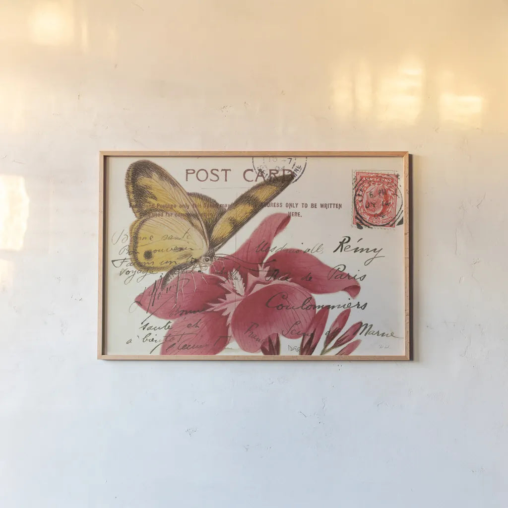 Butterfly Postcard II by Deborah Revell. shown as a paper print in a natural frame. Available as a archival giclee rolled canvas, fine art paper, or poster print. SKU 91113i.