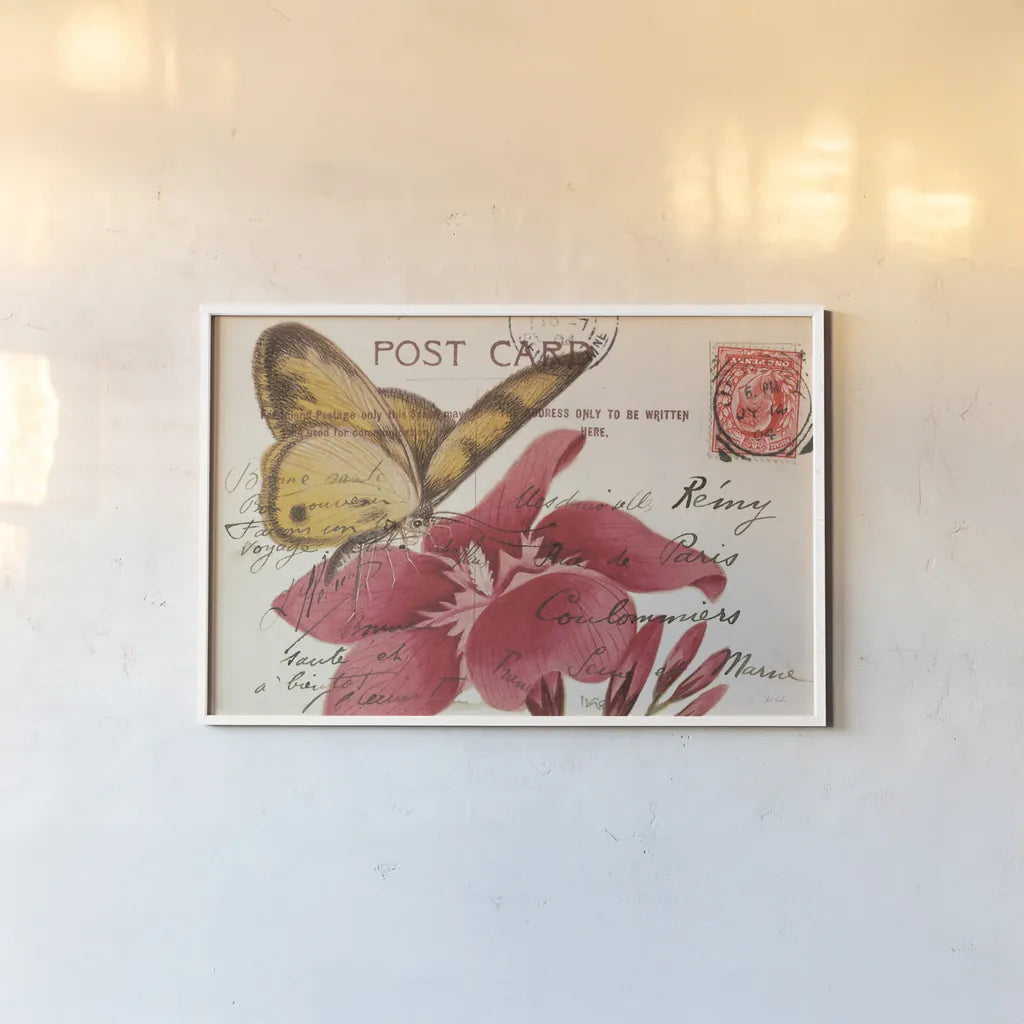 Butterfly Postcard II by Deborah Revell. shown as a paper print in a white frame. Available as a archival giclee rolled canvas, fine art paper, or poster print. SKU 91113i.