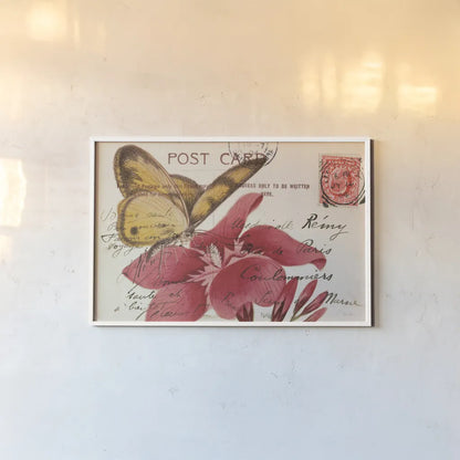 Butterfly Postcard II by Deborah Revell. shown as a paper print in a white frame. Available as a archival giclee rolled canvas, fine art paper, or poster print. SKU 91113i.