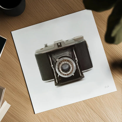 Camera by Deborah Revell. Shown as a detailed flat fine art print, highlighting archival giclee quality. Available as an archival giclee rolled canvas, fine art paper, or poster print. SKU 92064a.