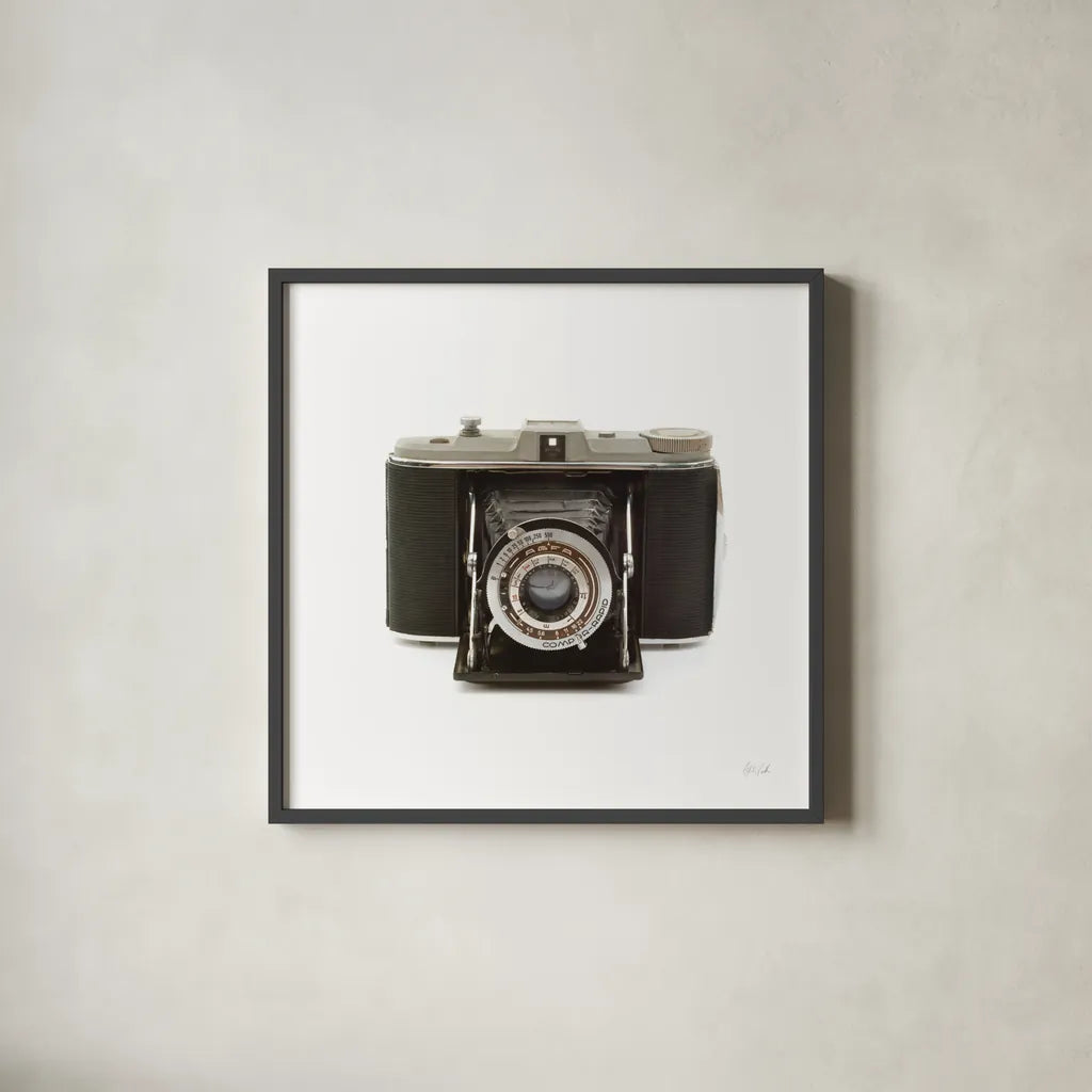 Camera by Deborah Revell. Shown in a sleek black glass frame for a contemporary gallery look. Available as an archival giclee rolled canvas, fine art paper, or poster print. SKU 92064a.