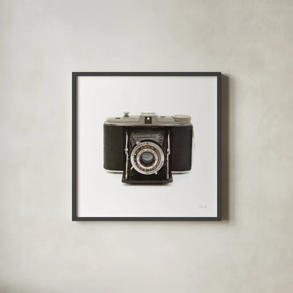 Camera by Deborah Revell. Shown in a sleek black glass frame for a contemporary gallery look. Available as an archival giclee rolled canvas, fine art paper, or poster print. SKU 92064a.