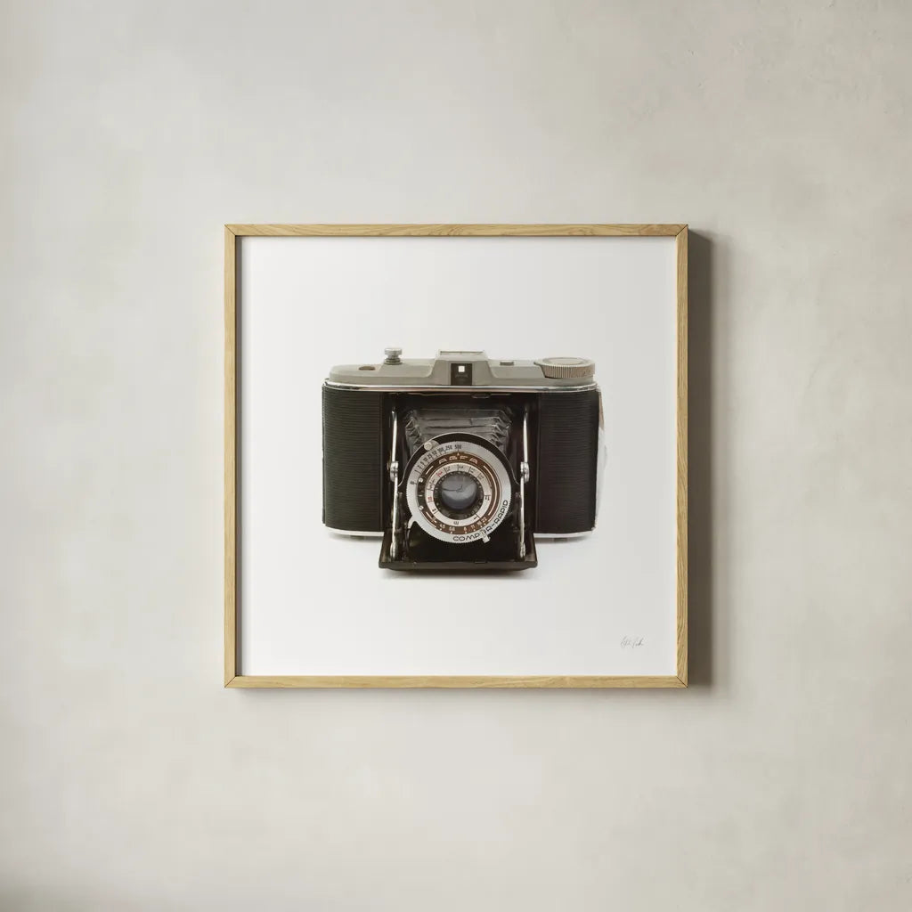 Camera by Deborah Revell. Shown in a natural wood glass frame for a timeless modern aesthetic. Available as an archival giclee rolled canvas, fine art paper, or poster print. SKU 92064a.