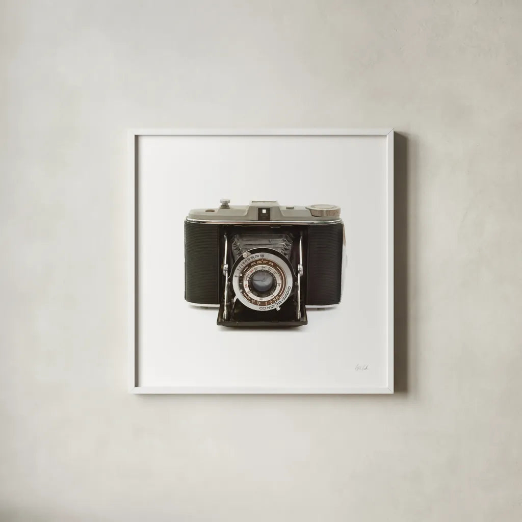 Camera by Deborah Revell. Shown in a crisp white glass frame for a clean and minimalist style. Available as an archival giclee rolled canvas, fine art paper, or poster print. SKU 92064a.