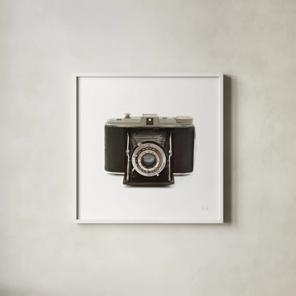 Camera by Deborah Revell. Shown in a crisp white glass frame for a clean and minimalist style. Available as an archival giclee rolled canvas, fine art paper, or poster print. SKU 92064a.