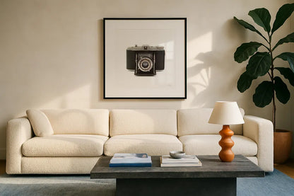 Camera by Deborah Revell. Displayed in a glass frame with matte in a clean modern living room. Available as an archival giclee rolled canvas, fine art paper, or poster print. SKU 92064a.