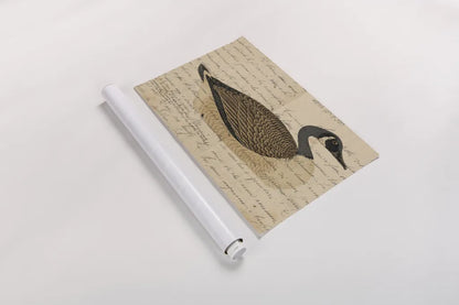Canada Goose by Deborah Revell. shown as a rolled paper print. Available as archival giclee rolled canvas, fine art paper, or poster print. SKU 101624i.