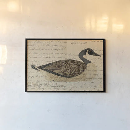 Canada Goose by Deborah Revell. shown as a paper print in a black flame. Available as a archival giclee rolled canvas, fine art paper, or poster print. SKU 101624i.
