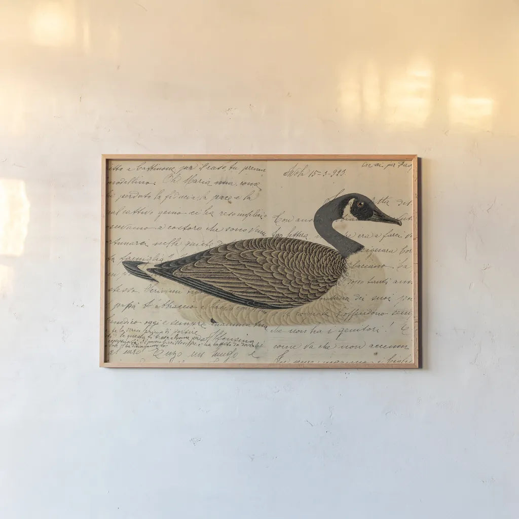 Canada Goose by Deborah Revell. shown as a paper print in a natural frame. Available as a archival giclee rolled canvas, fine art paper, or poster print. SKU 101624i.